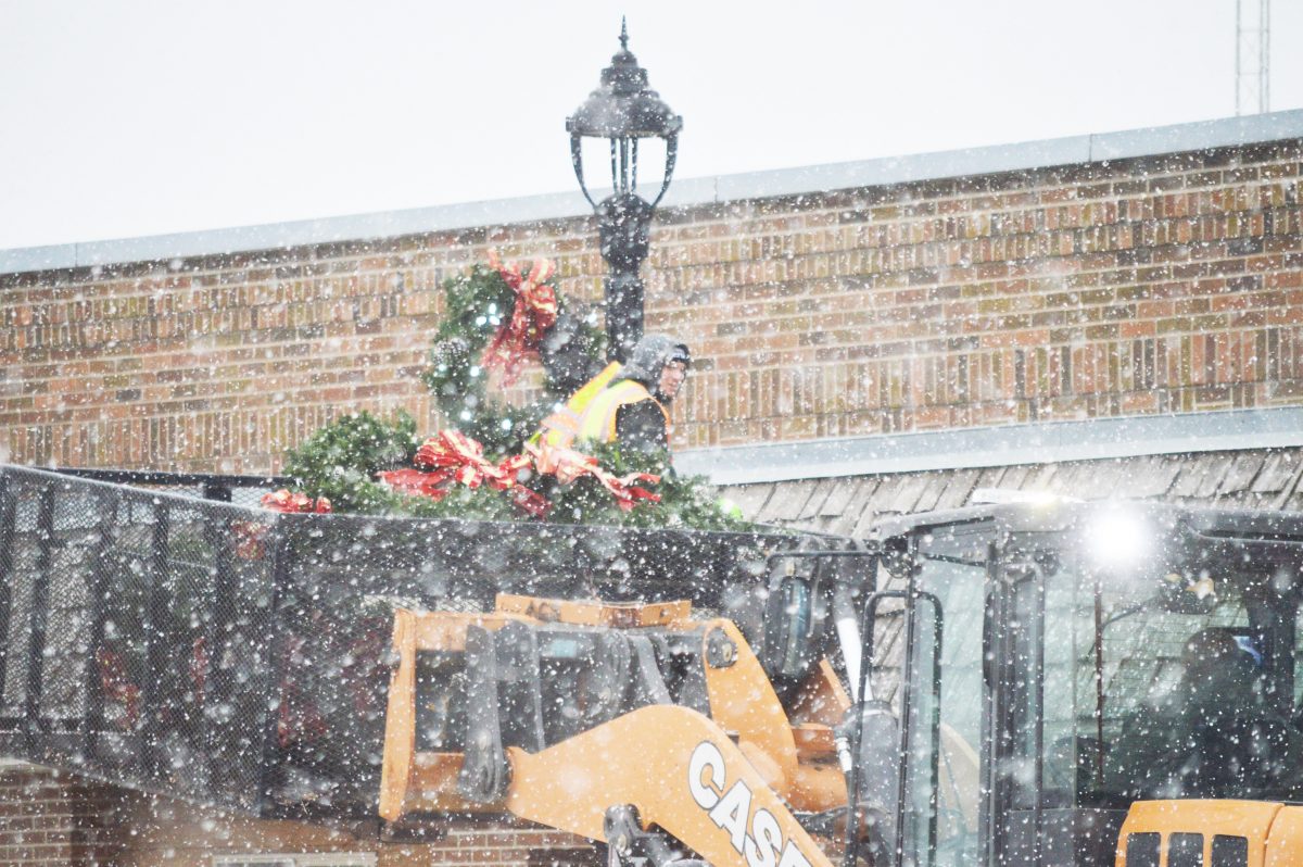 Holiday lights The Gaylord Hub