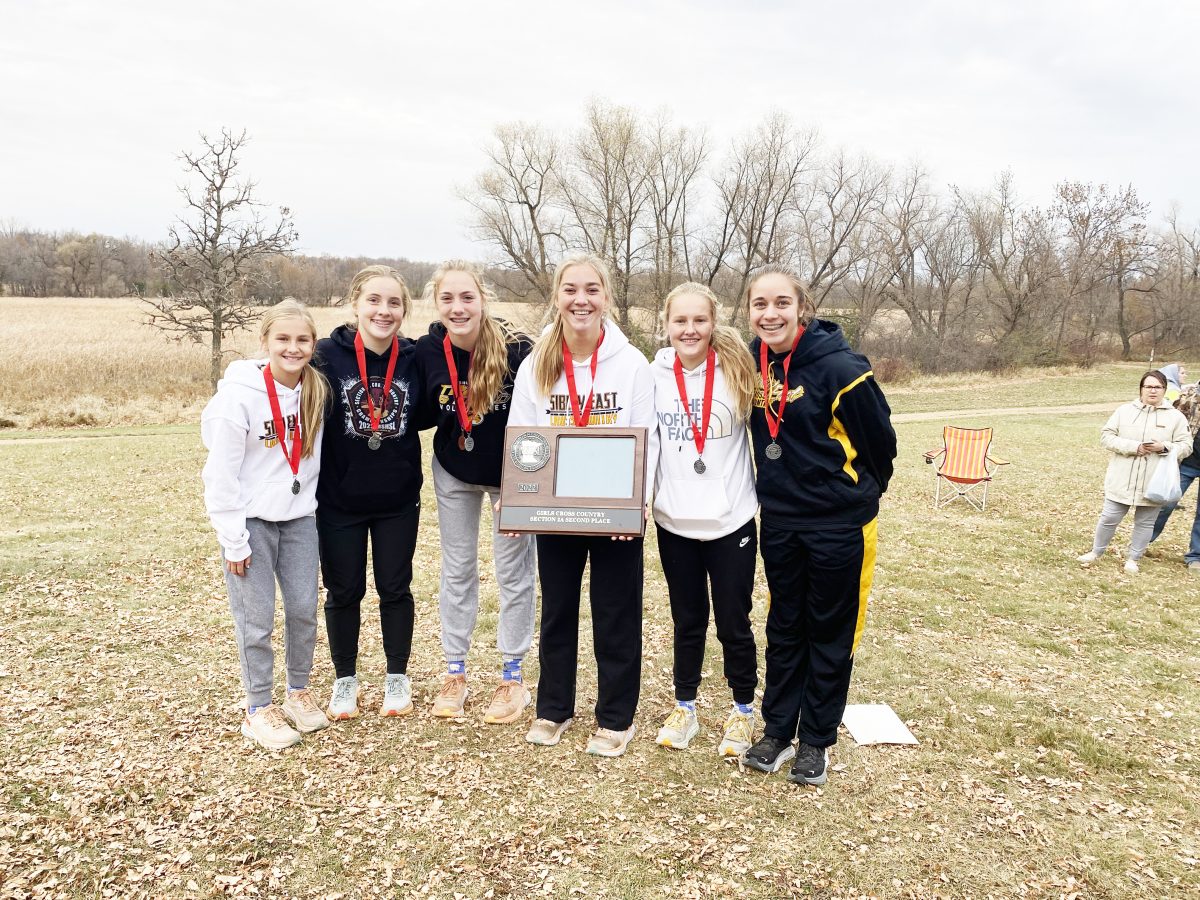Sibley East girls cross country team makes school history The Gaylord Hub